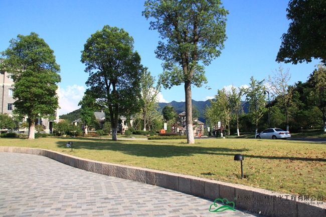 电竞比赛押注app