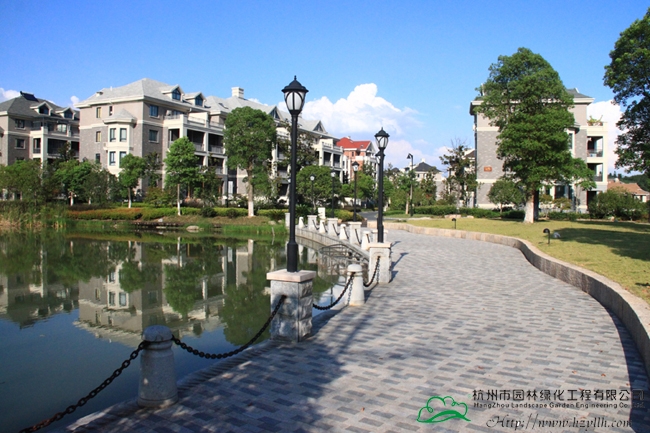 电竞比赛押注app