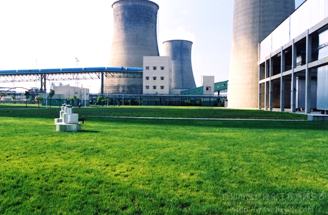 电竞比赛押注app