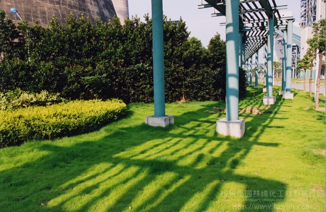 电竞比赛押注app