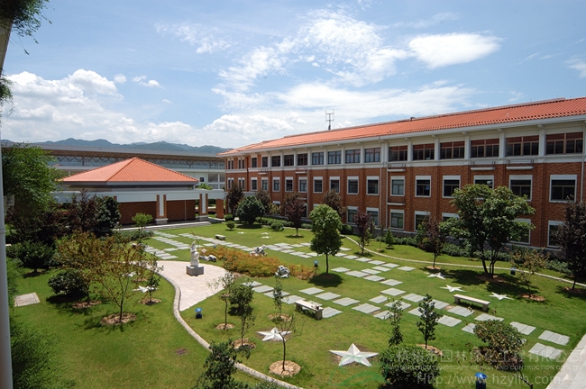 电竞比赛押注app