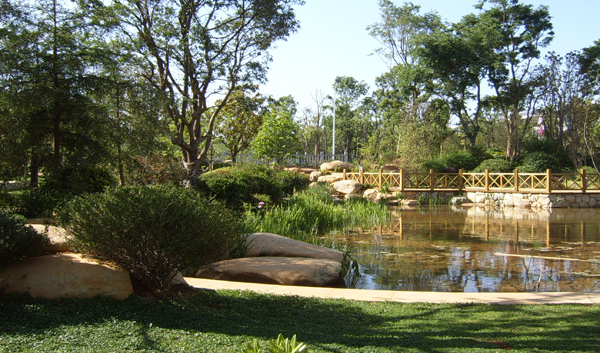 电竞比赛押注app