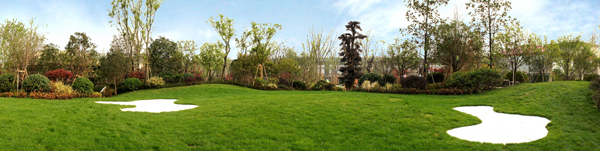 电竞比赛押注app