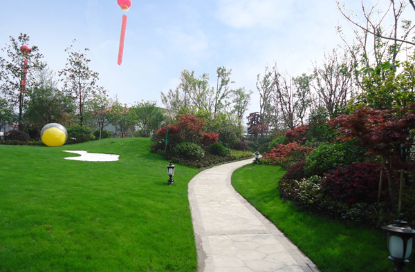 电竞比赛押注app