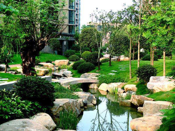 电竞比赛押注app