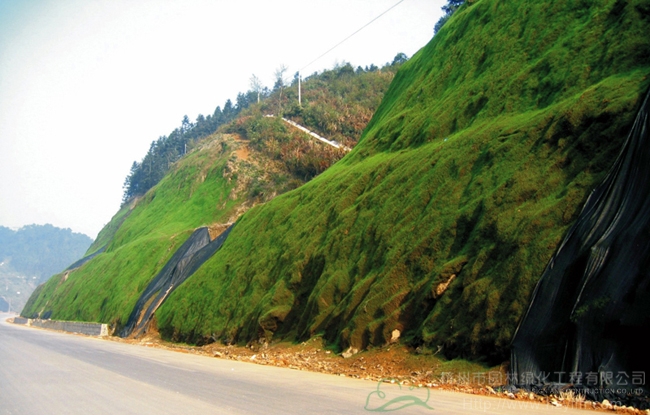 电竞比赛押注app