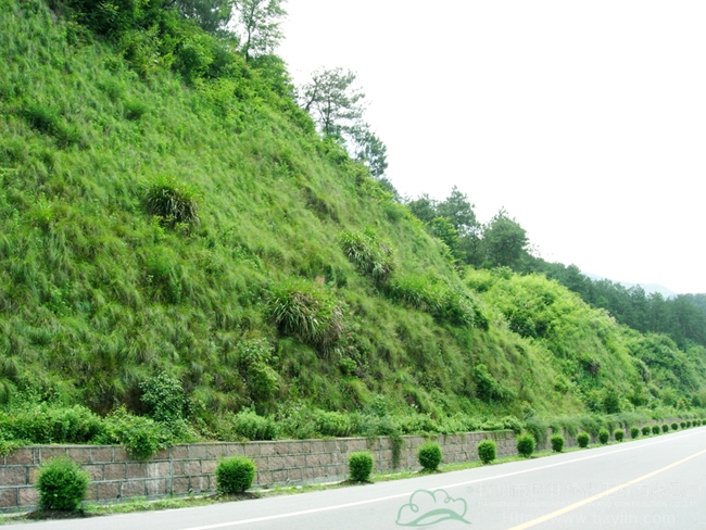 电竞比赛押注app