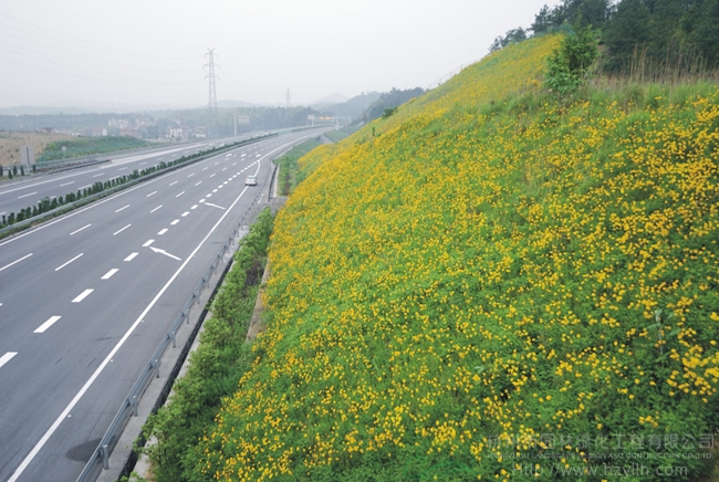 电竞比赛押注app