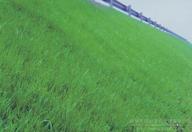 电竞比赛押注app