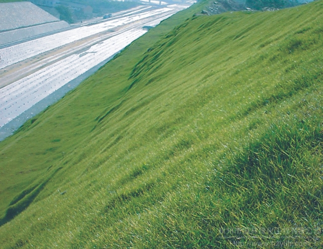 电竞比赛押注app