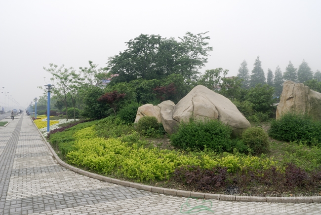 电竞比赛押注app