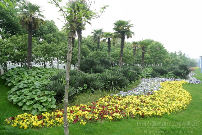 电竞比赛押注app