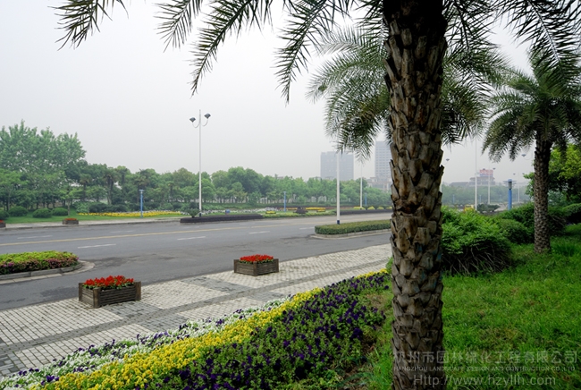 电竞比赛押注app