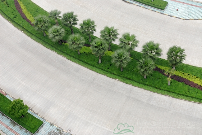 电竞比赛押注app