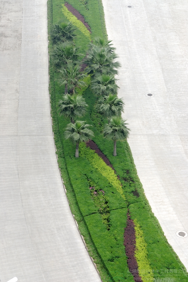 电竞比赛押注app