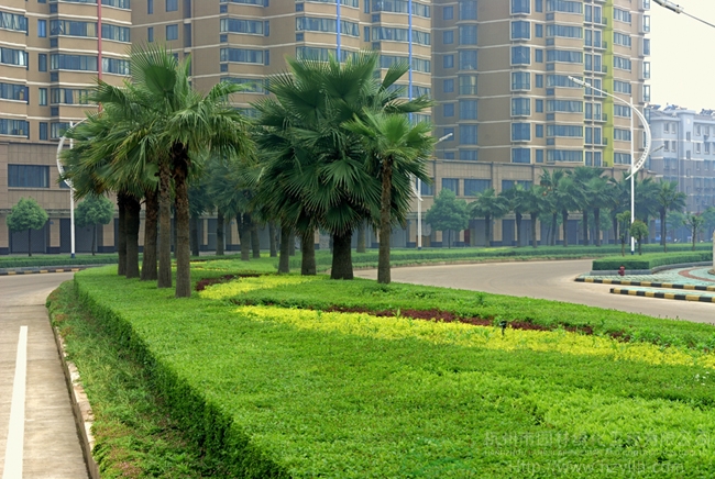 电竞比赛押注app