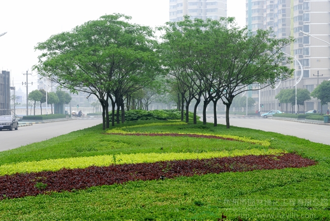 电竞比赛押注app