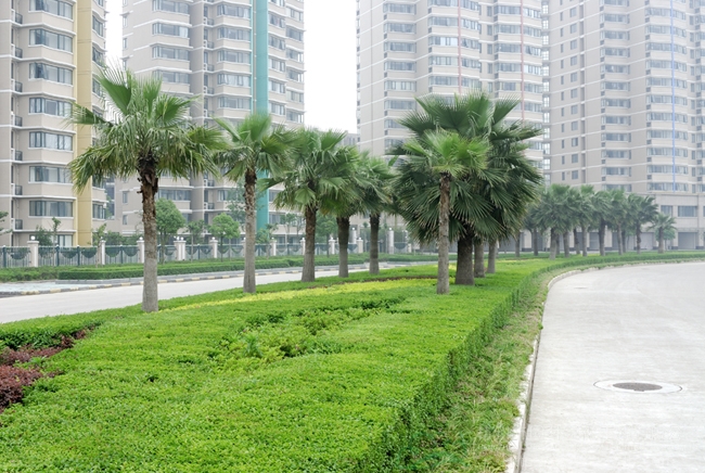 电竞比赛押注app