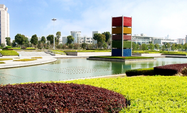 电竞比赛押注app