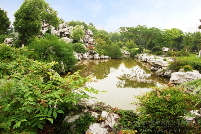 电竞比赛押注app