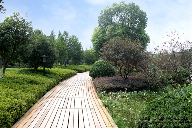 电竞比赛押注app