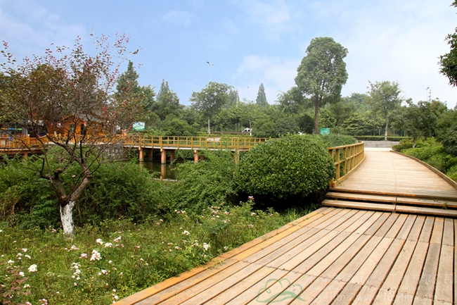 电竞比赛押注app