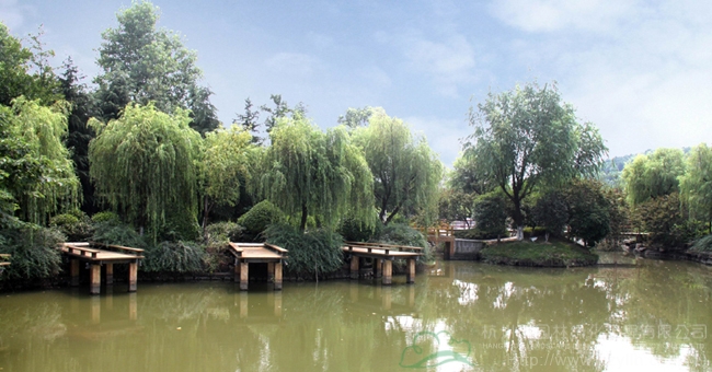 电竞比赛押注app