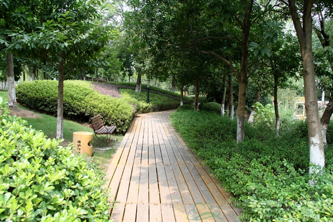 电竞比赛押注app