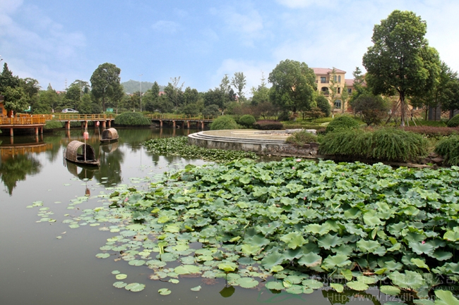 电竞比赛押注app