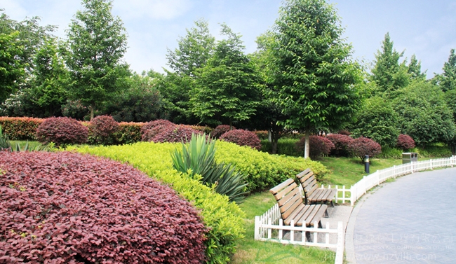 电竞比赛押注app