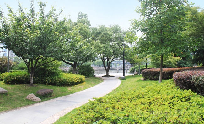 电竞比赛押注app