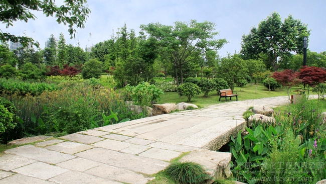 电竞比赛押注app