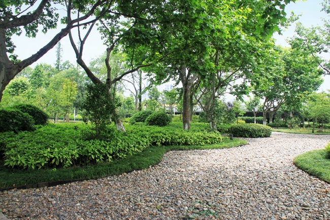 电竞比赛押注app