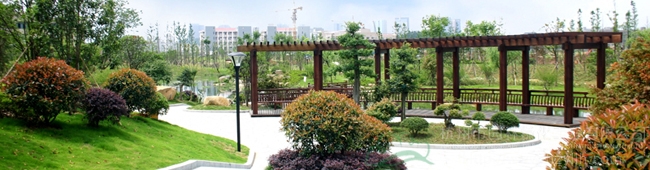 电竞比赛押注app