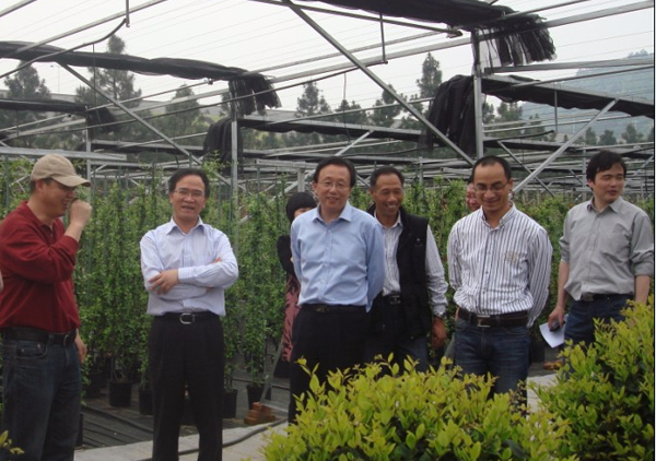 电竞比赛押注app