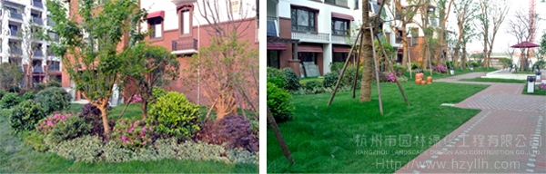 电竞比赛押注app