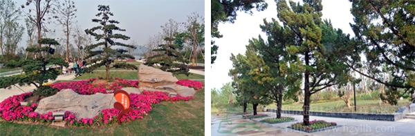 电竞比赛押注app