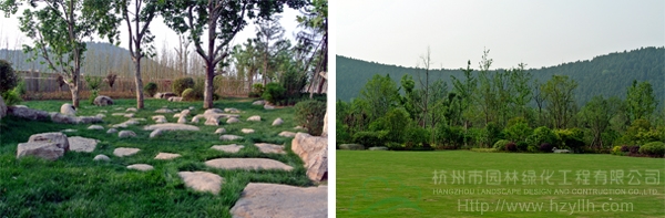 电竞比赛押注app