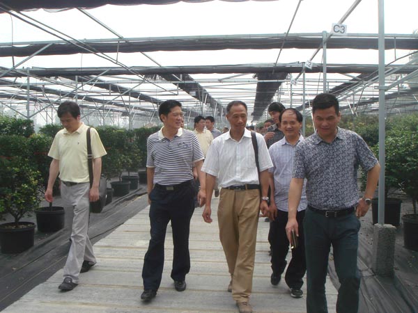 电竞比赛押注app