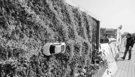 电竞比赛押注app