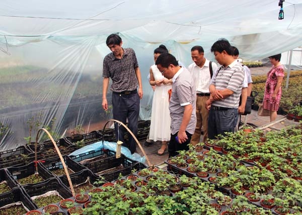 电竞比赛押注app