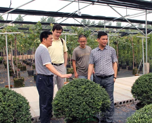 电竞比赛押注app