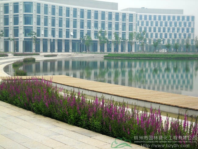 电竞比赛押注app