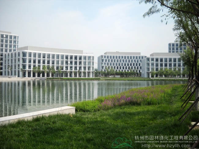 电竞比赛押注app