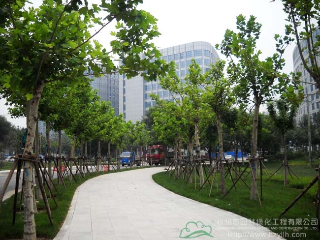 电竞比赛押注app