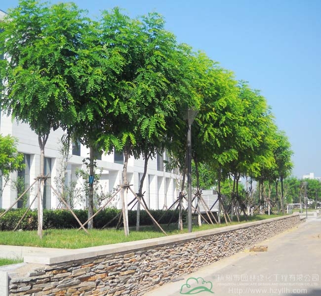 电竞比赛押注app