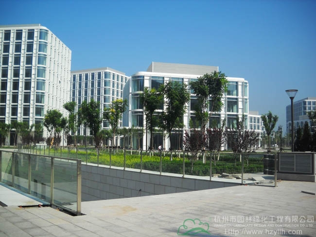 电竞比赛押注app