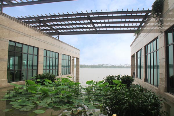 电竞比赛押注app