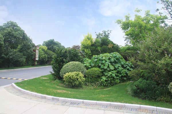 电竞比赛押注app