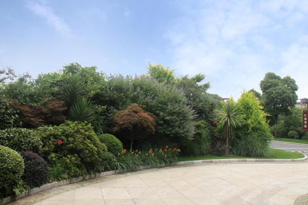 电竞比赛押注app